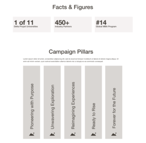 Campaign Website UX Strategy