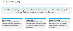 Non Profit Organization Website Strategy